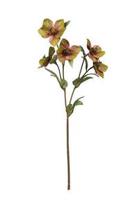 Hellebore Spray Green 47cm