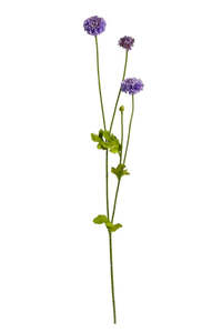 Pompom Sp x4 Purple 59cm