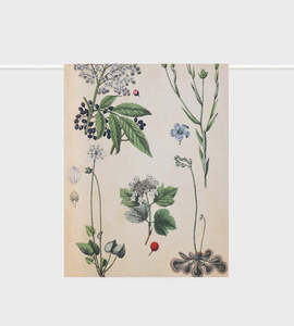 Lettuce Tea Towel - Field Botany
