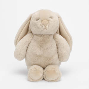 Gifts For Kids 1: Flopsy Bunny - Biscuit