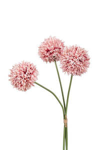 Mum Ball Bundle - Dusty Pink