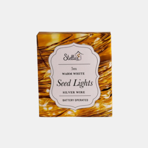 Home Away From Home: 5m Silver Warm White 50 LED Seed Lights