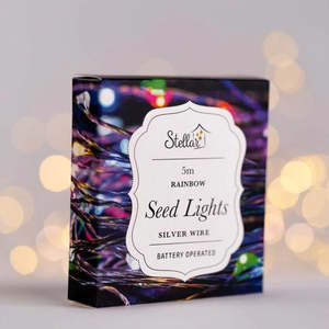 5m Silver Rainbow 50LED Seed Lights