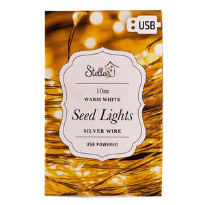 10M USB Silver Warm White 100LED Lights