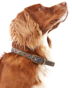 Barbour Tartan Dog Collar - Classic Tartan