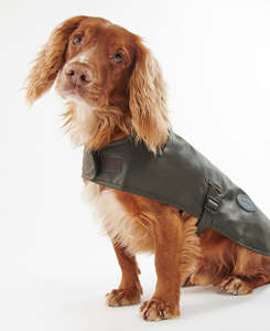 For Dogs: Barbour Wax Dog Coat