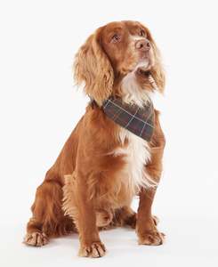 For Dogs: Barbour Tartan Dog Bandana