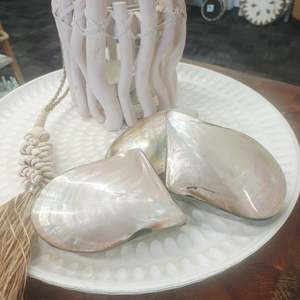 Homewares: Natural Shell Jewellery Box