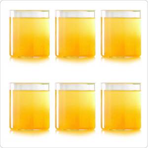 Borosilicate Glass - Vision Glasses 290ml (6 Pieces)