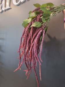 Flowers: Amaranthus Spray Burgundy