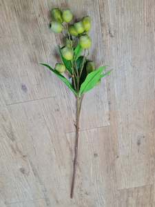 Flowers: Eucalyptus Pod