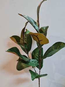 Flowers: Magonlia Leaf