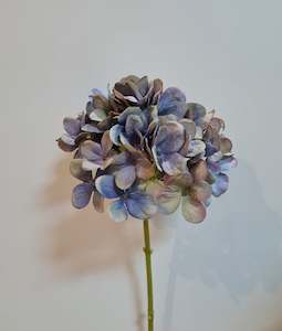 Flowers: Winter Hydrangea Purple/Blue