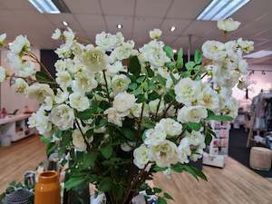 Flowers: Rambling Rose Spray