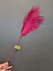 Rasberry Feather Spray