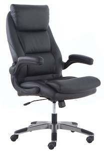 Desk Chairs: Jupiter Seattle Executive Office Chair - Black