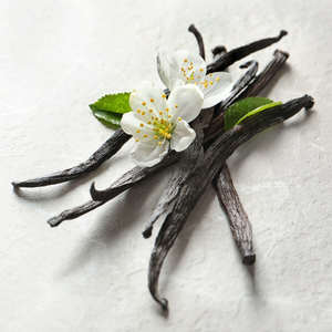 Vanilla Essential Oil