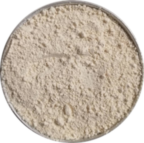 Herbs Spices Stock: Garlic Powder