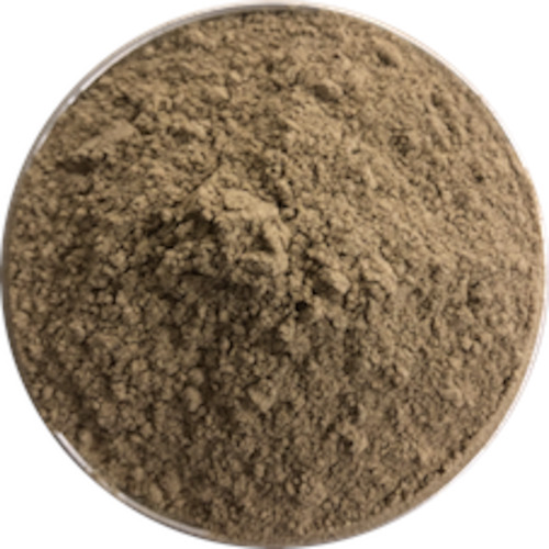 Herbs Spices Stock: Nutmeg