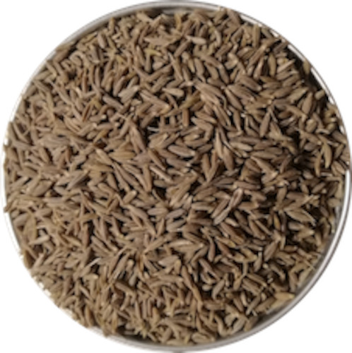 Herbs Spices Stock: Cumin Seeds