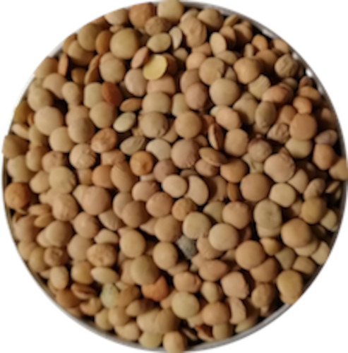 Grains Beans Pulses: Brown Lentils - Organic