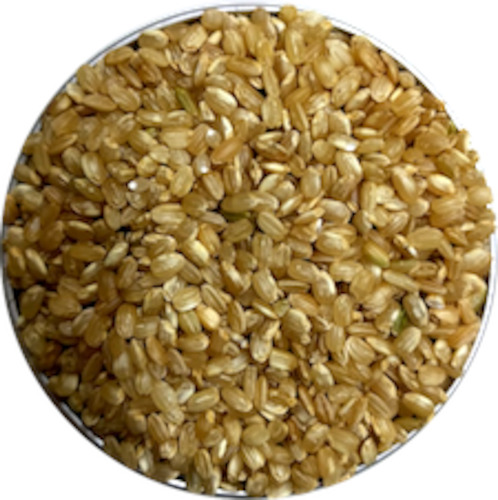 Pasta Rice Couscous: Brown Sushi Rice - Organic