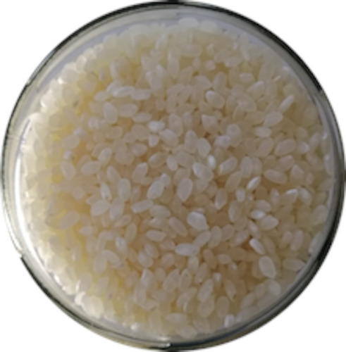 White Sushi Rice - Organic