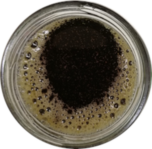 Maple Syrup - 100% Organic Pure Canadian