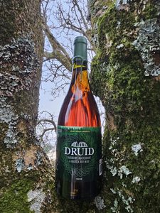 Enchanted Mead Collection - Honey Bandit: Druid