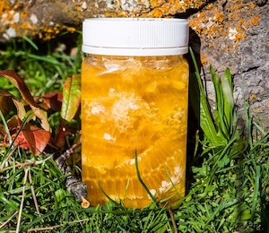 Products: Clover Honey in Honeycomb – Honey by Wrights