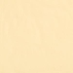 Adults: Golden Haze Womens Short Sleeved Top