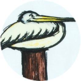 Pelican Fix It Kit (2-pack)