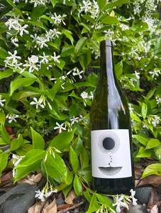 Aard: 2024 Aard Chardonnay