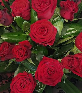 Stunning 6 Rose Bouquet - Hornby Florist