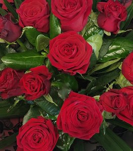 Products: Stunning 6 Rose Bouquet - Hornby Florist