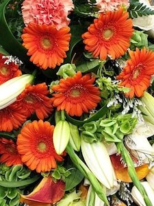 Orange Delight - Hornby Florist
