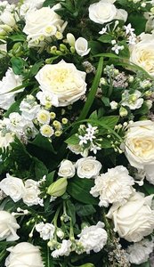 Products: Pure Elegance - Hornby Florist