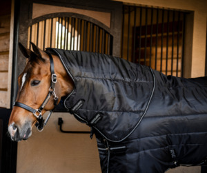 Summer Collection: Amigo Ripstop Insulator Plus Stable Rug 200g