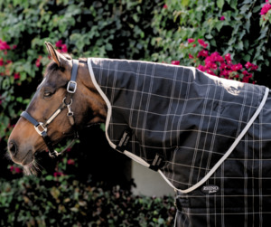 Summer Collection: Rhino Stable Neck Rug 100g