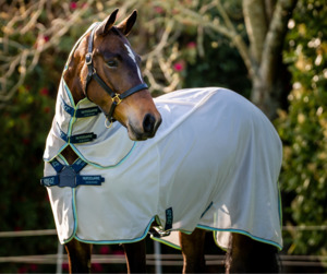 Summer Collection: Amigo XL Bug Rug Disc Front