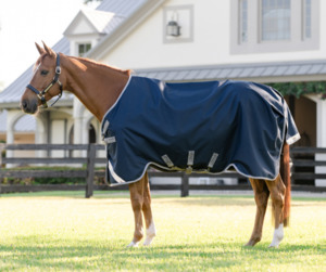 Turnout Rugs: Amigo 1200D Plus Turnout 0g