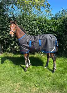 Turnout Rugs: Amigo Ripstop 900D Foal Turnout 50g