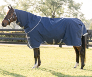 Turnout Rugs: Rhino Plus Turnout 100g