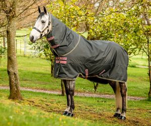 Amigo Hero Ripstop Plus Lite