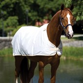 Fly Protection: Horseware Waterproof Fly Sheet Liner