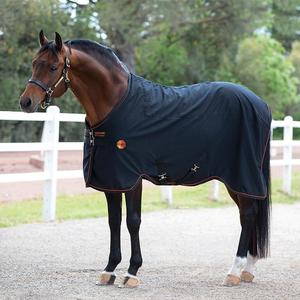 Rambo: Rambo Ionic Stable Sheet