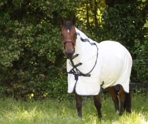 Pony Specials: Rambo Allrounder V-Front - Size 4'3NZ (5'6Uk)