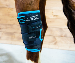 Pony Specials: Ice-Vibe Circulation Hock Therapy