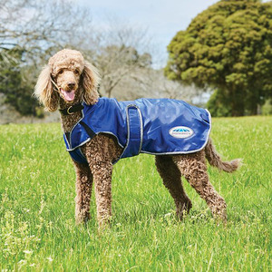 ComFiTec Windbreaker Deluxe Dog Coat