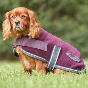 Other Animals Warmth And Comfort: Weatherbeeta Fleece Dog Coat